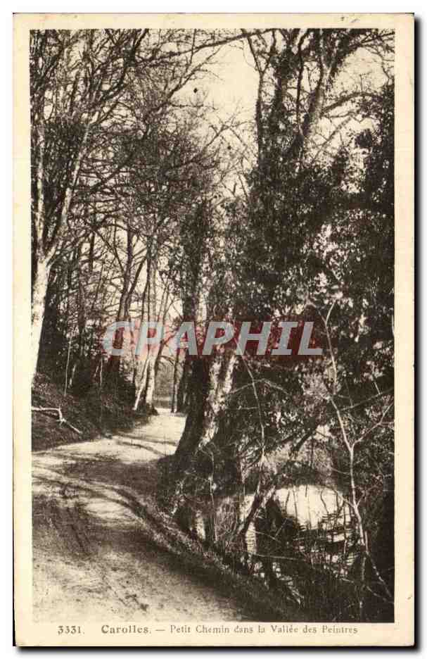 Carolles — Petit Chemin dans la Vallée des Peintres — CPAPHIL 3331