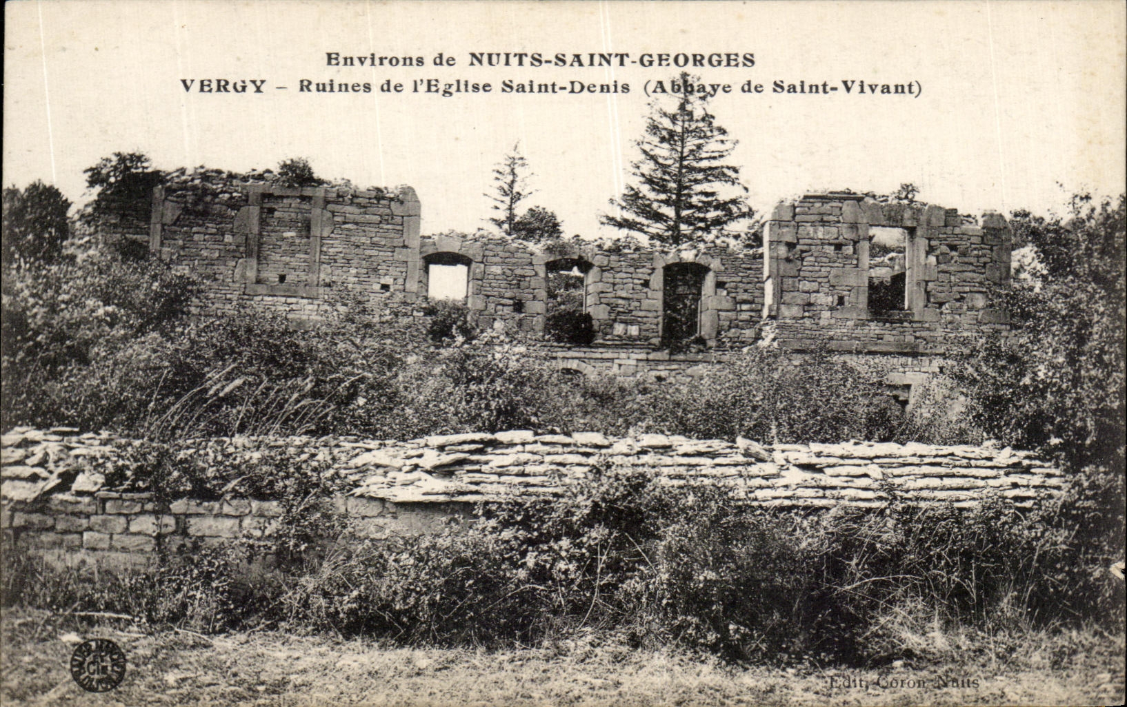 CPA Environs de Nuits saint Georges Vergy Ruines de l'Eglise Saint Denis Abbaye de Saint Vivant 