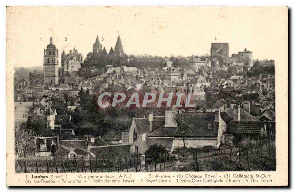 CPA Loches Vue panoramique 
