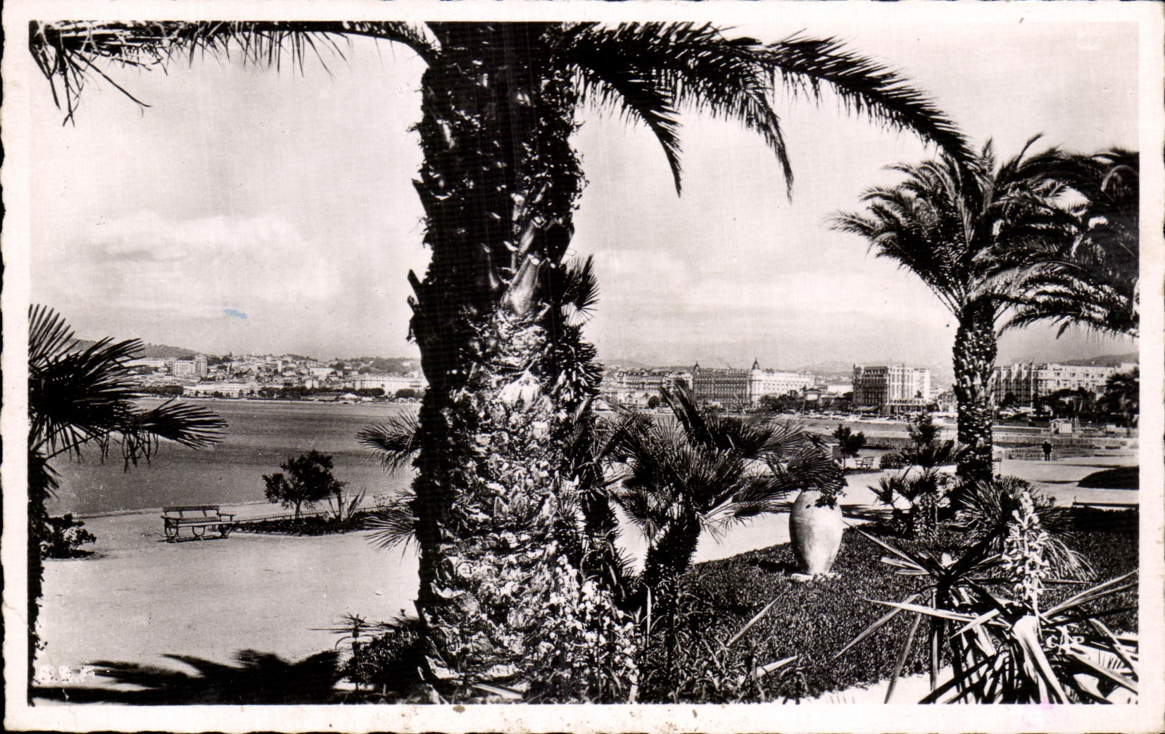 CPA Cannes Vue Prise Des Nouveaux Jardins De La Croisette