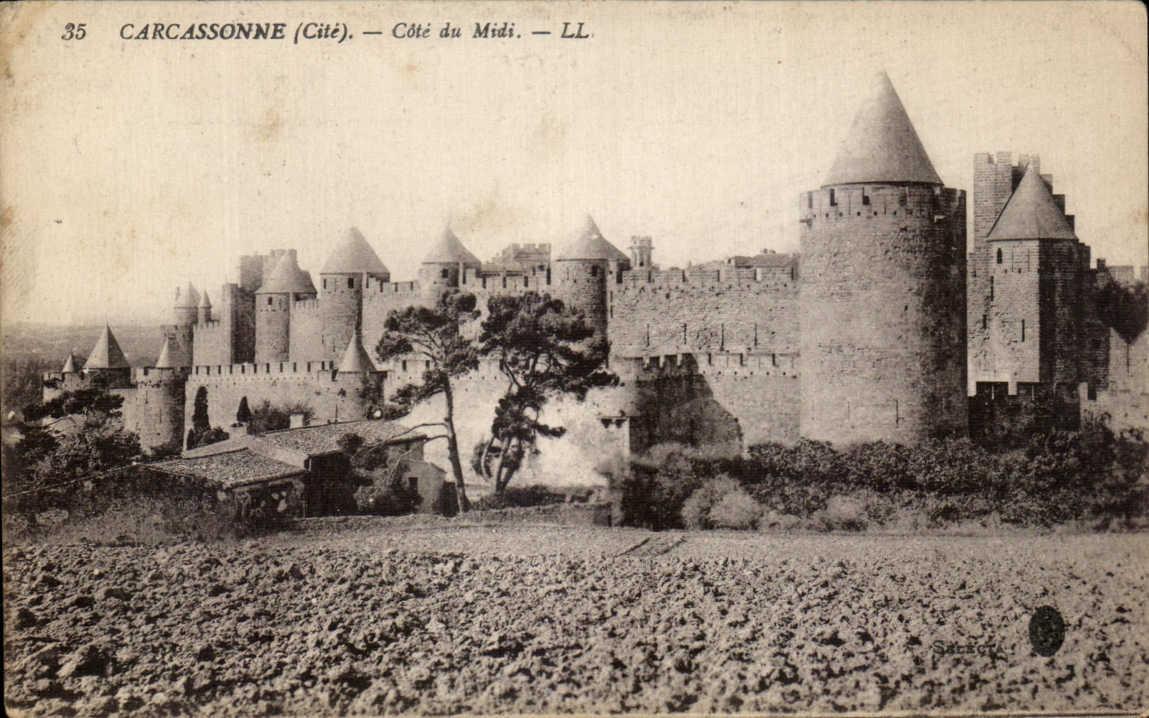 CPA Carcassonne Cote du Midi