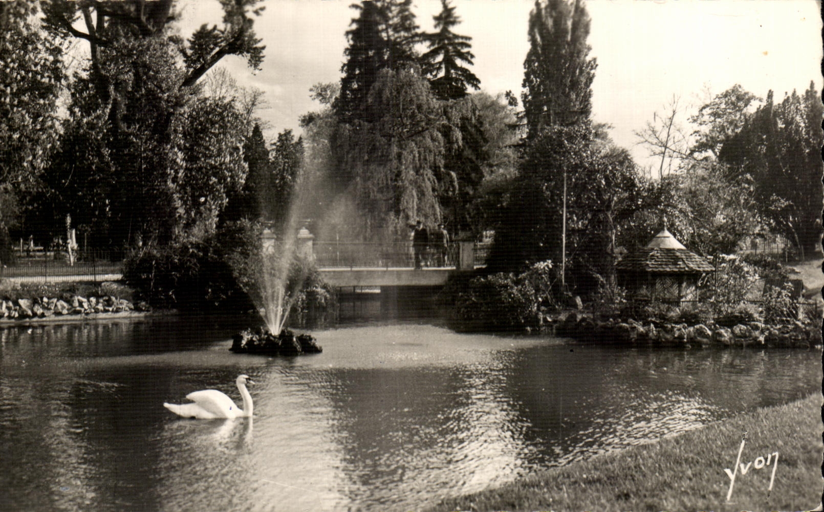 CPSM Vichy Le Parc Cygnes