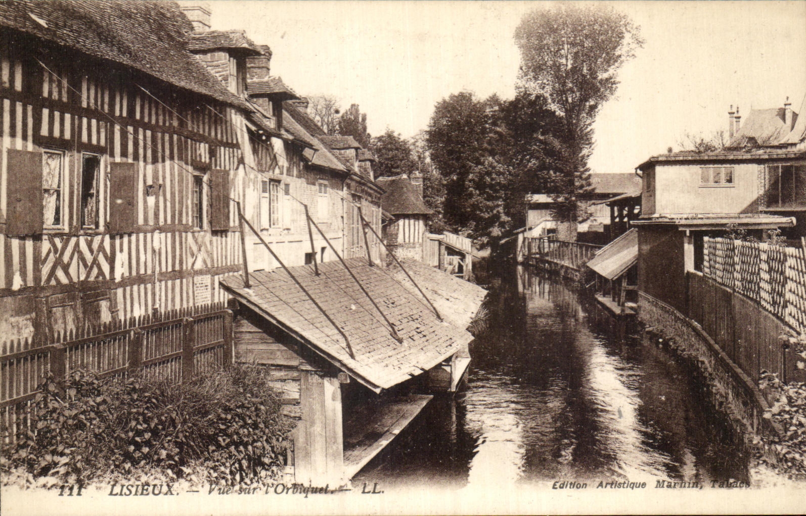 CPA Lisieux Vue sur L'Orbiquet Lavoir