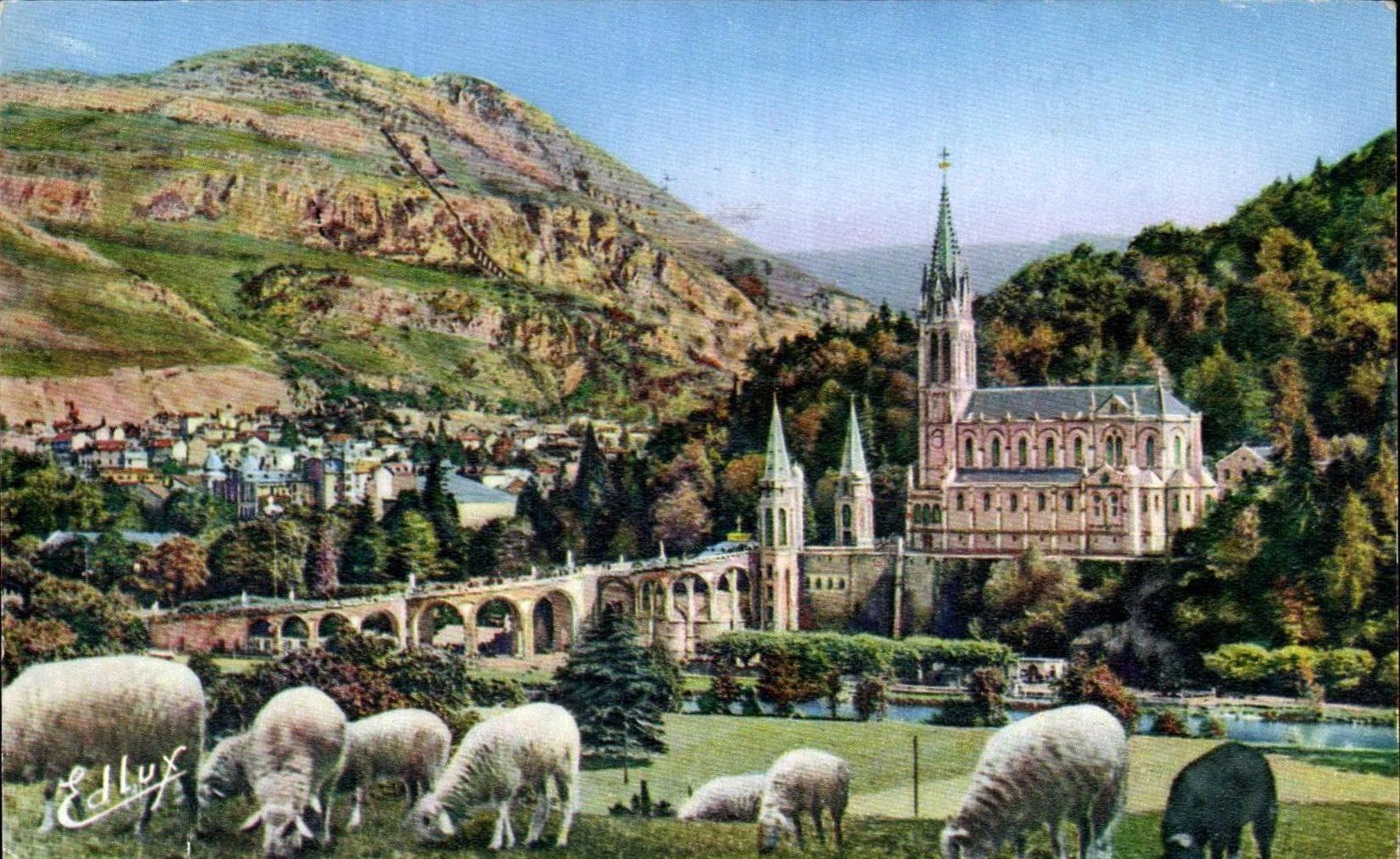 CPA Lourdes La Basilique et le Pic du Jer Moutons 