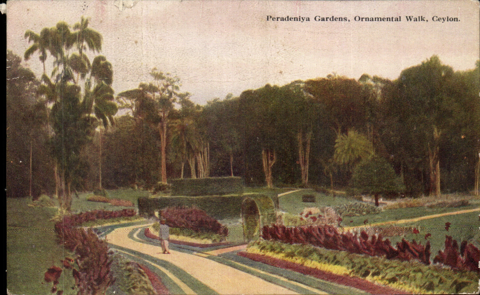 CPA Peradeniya Gardens Ornamental Walk Ceylon
