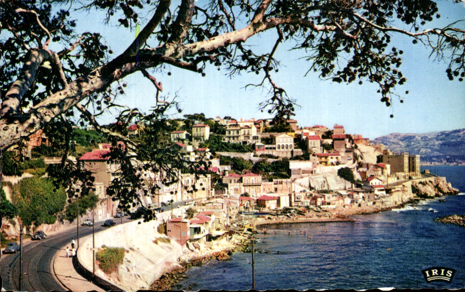 La Corniche — l'Anse du Prophète — IRIS