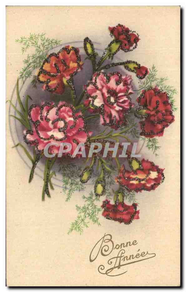 CPA Fantaisie Fleurs Bonne Annee