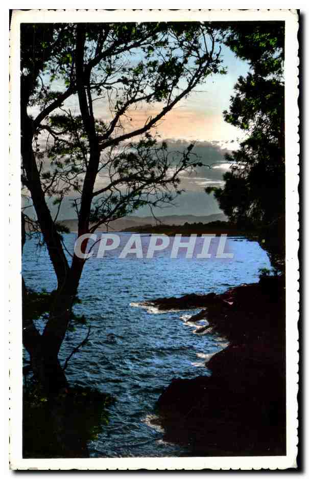 CPA La Cote D'Azur Crespuscule