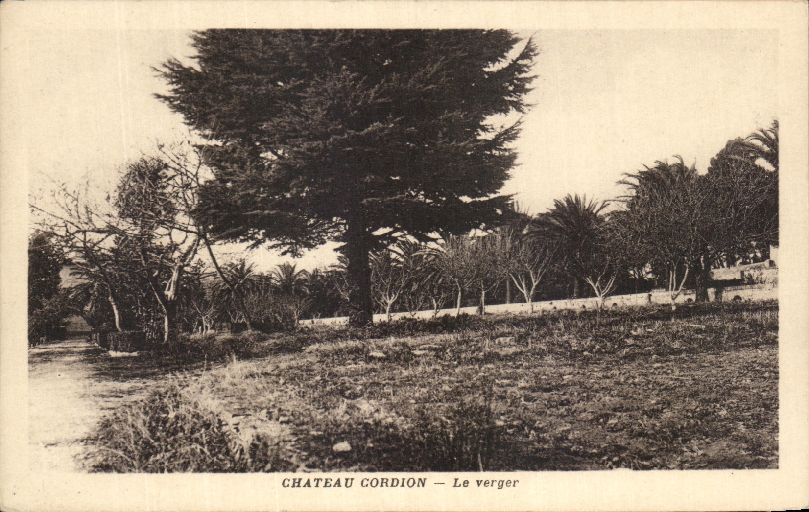 Château Cordion — Le verger — éditeur non identifié