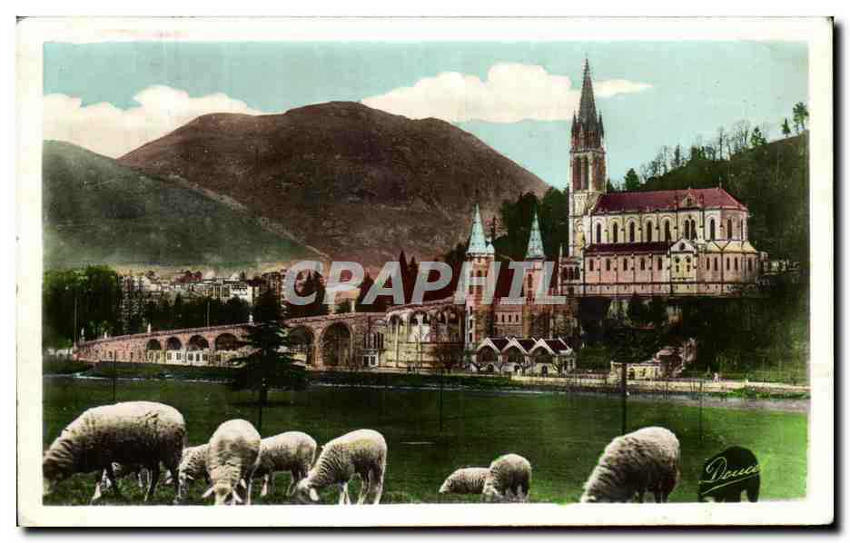 CPA Lourdes La Basilique et le Pic du Jer moutons 