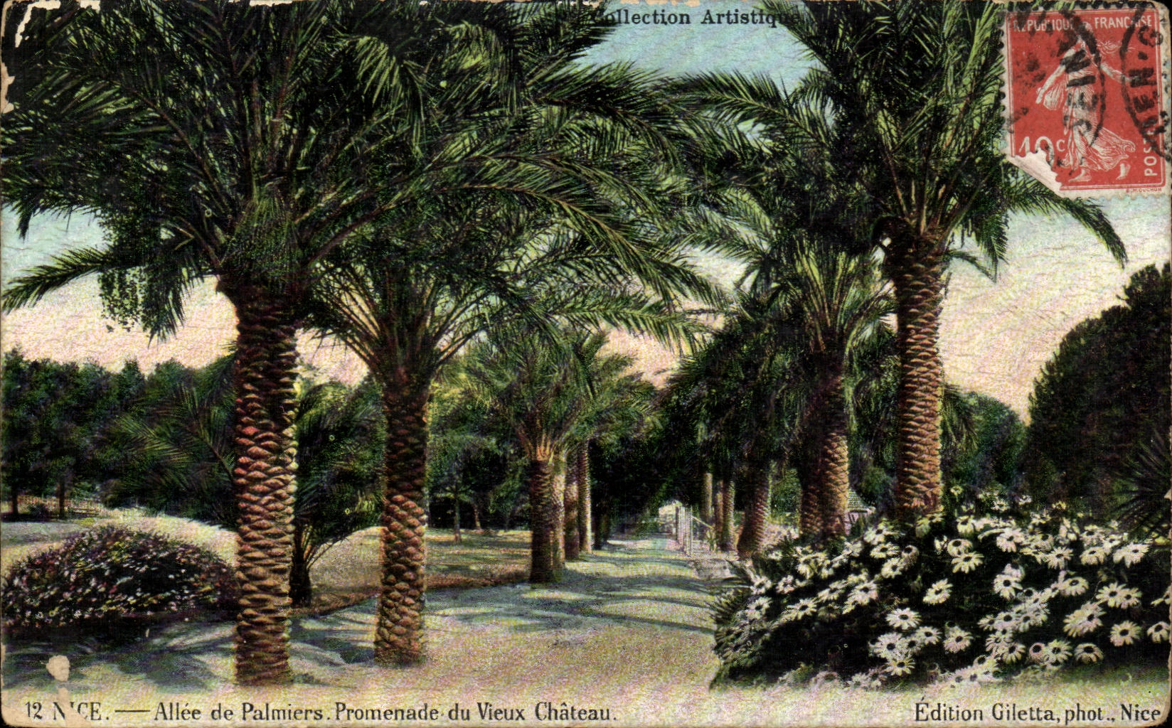 CPA Nice Allee De Palmiers Promenade Du Vieux Chateau