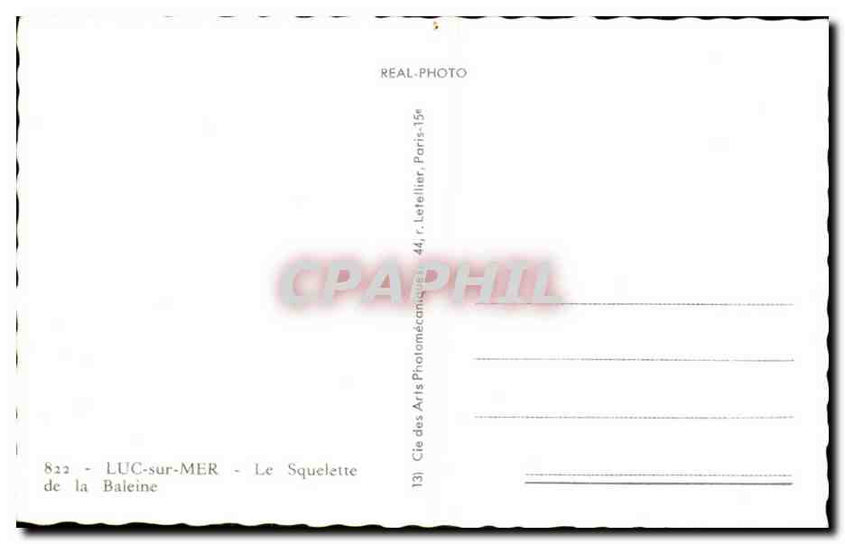 CPA Luc sur Mer Le Squelette de la Baleine — Verso