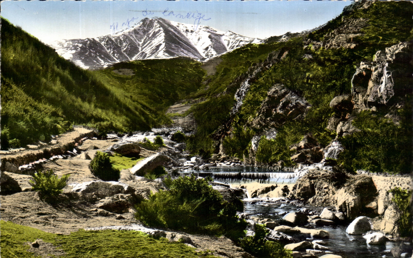 CPA Environs d'Amelie Les Bains Vallee du Tech Au Fond le Canigou 