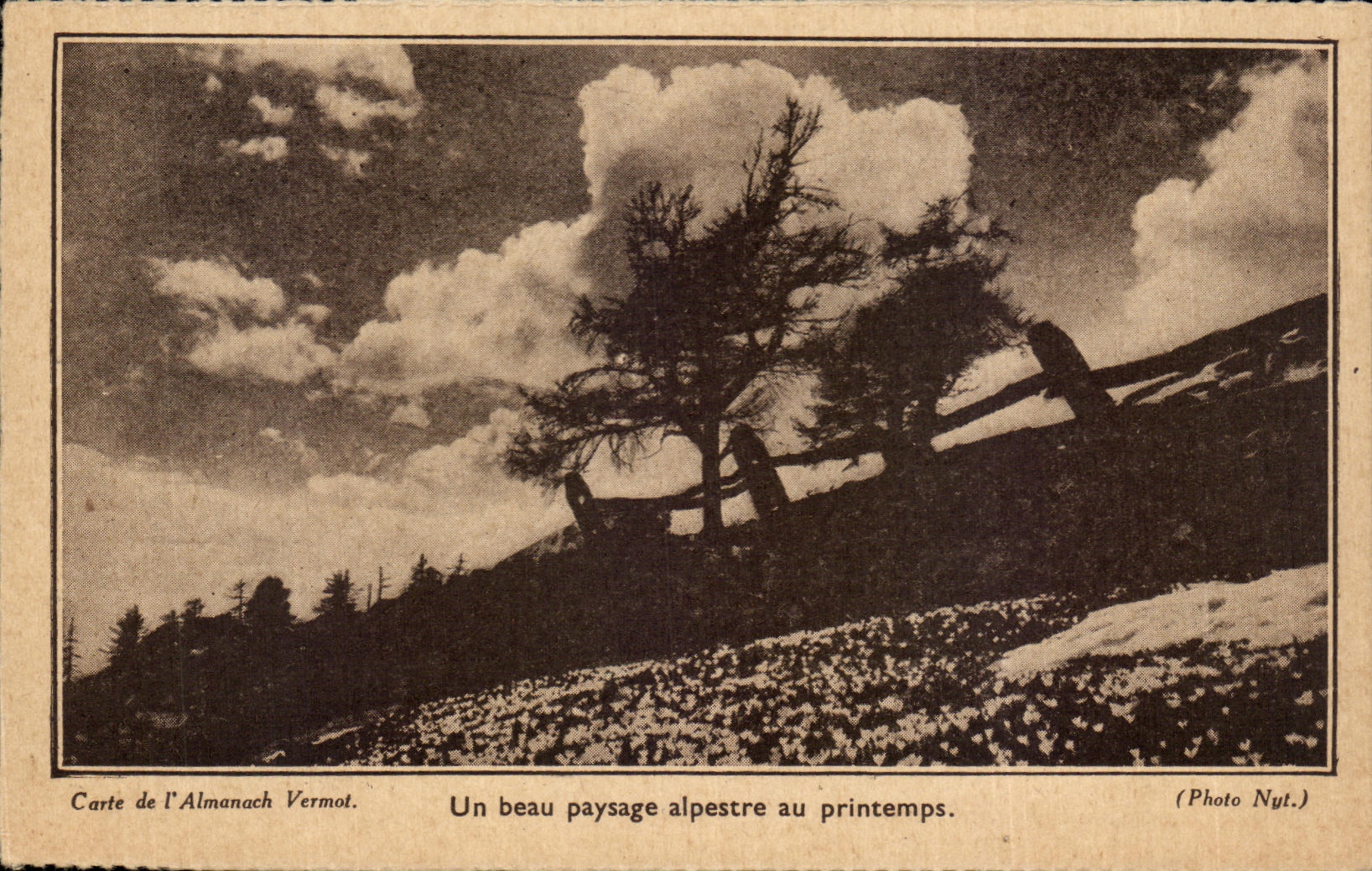 CPA Un Beau Paysage alpestre au Printemps 