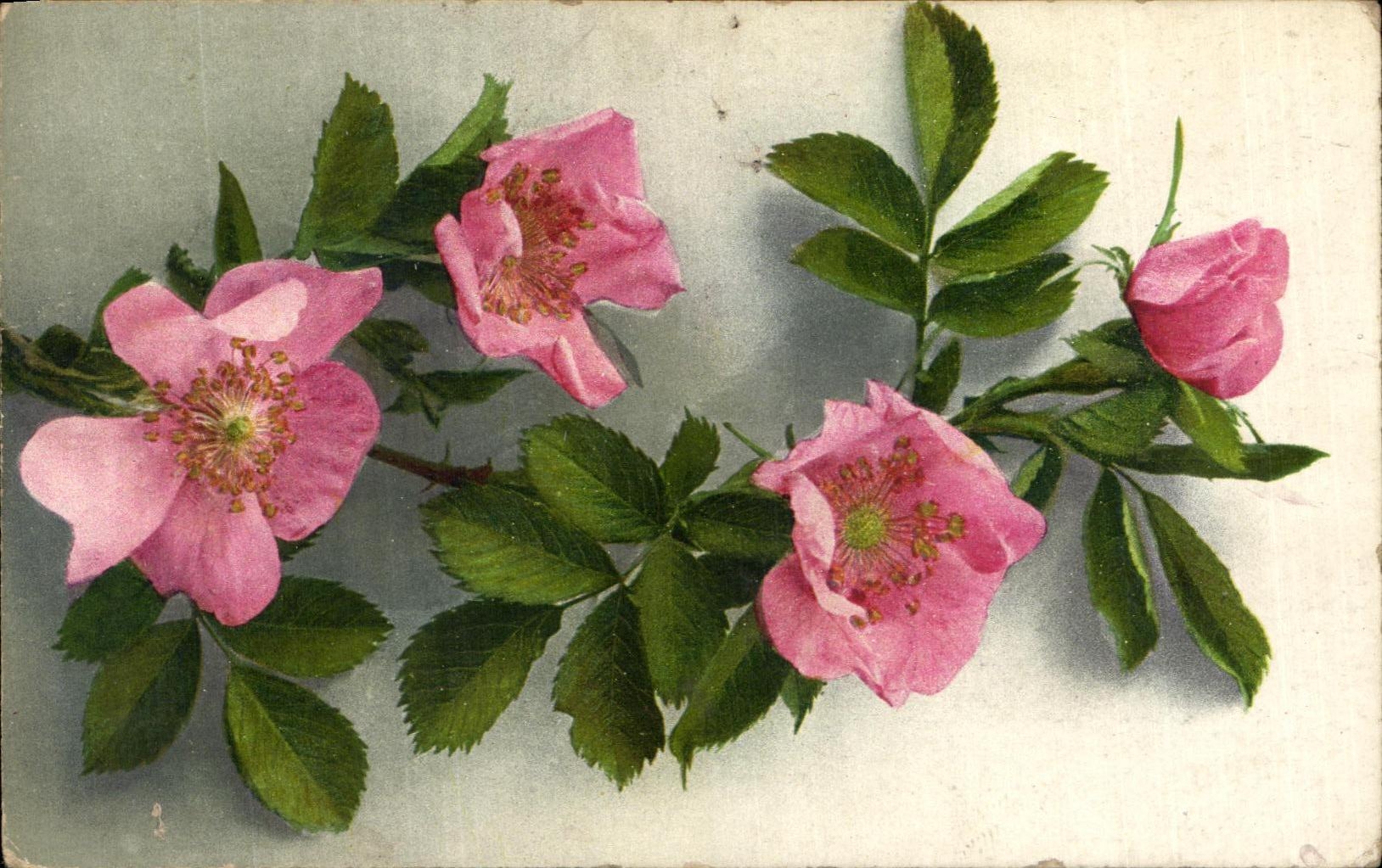 CPA Fantaisie Fleurs 