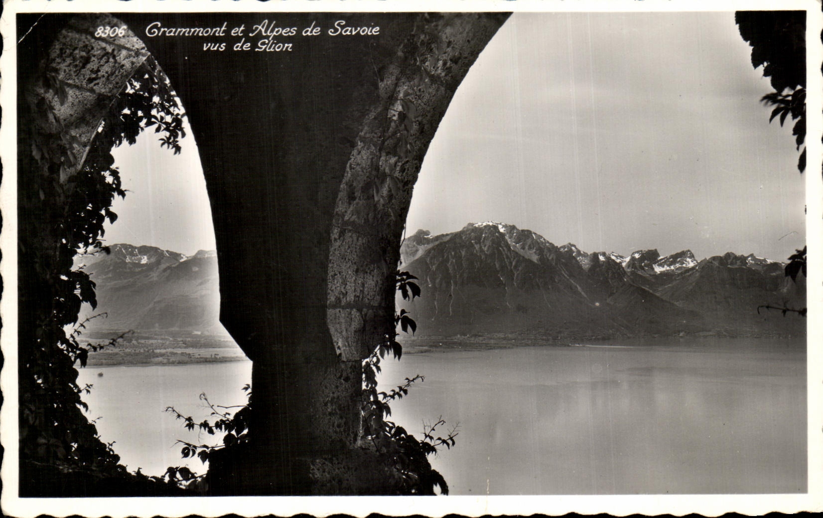 Grammont et Alpes de Savoie vus de Sliion — 8306 — Édition Ph. Ferrochet, Lausanne