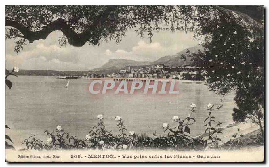 CPA Monton Vue Prise entre les Fleurs Garavan