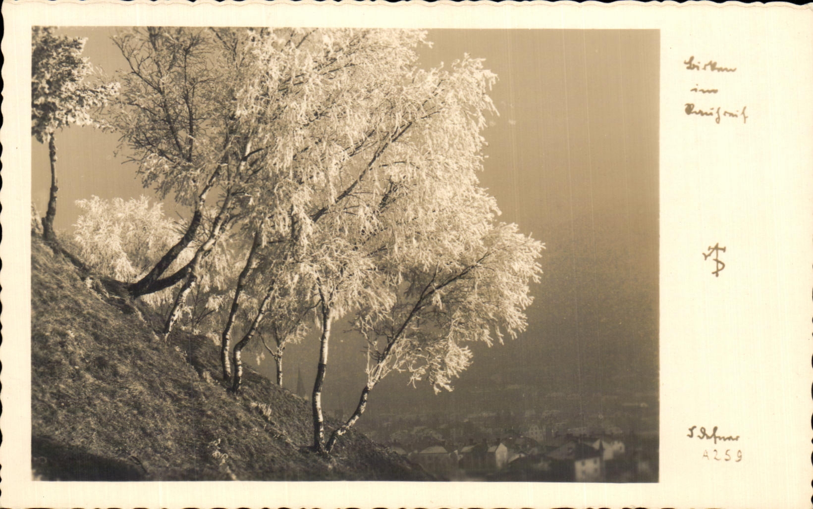 CPA Paysage en Autriche