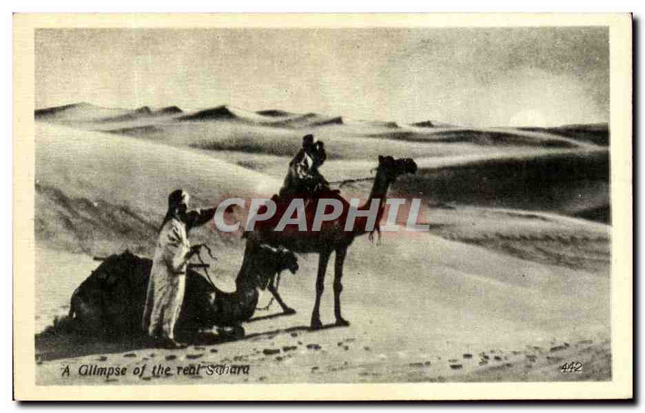 A Glimpse of the real Sahara — CPAPHIL 442 — Éditeur Oriental Commercial Bureau (Égypte)