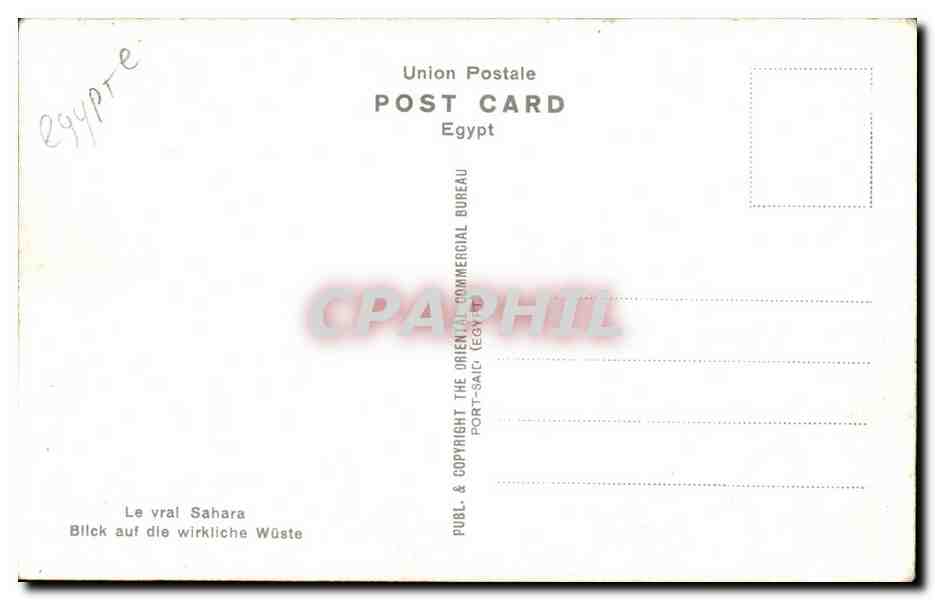 A Glimpse of the real Sahara — CPAPHIL 442 — Éditeur Oriental Commercial Bureau (Égypte) — Rückseite