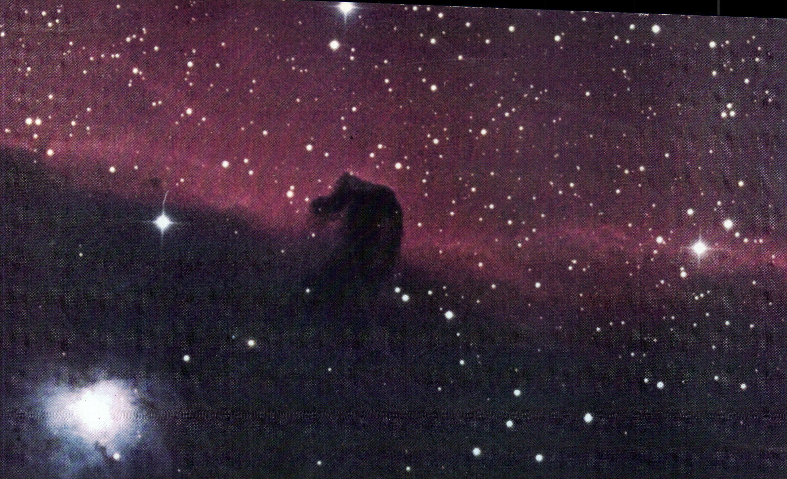 CPA Horsehead Nebula The Dark Horses's Head Is A cloud Of Opaque Gas