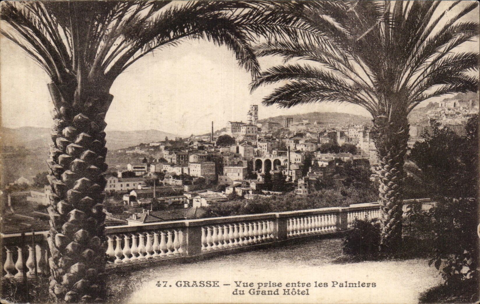 CPA Grasse Vue Prise entre les Palmiers du Grand Hotel