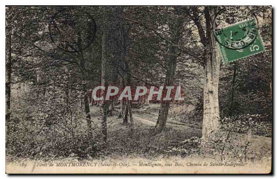 CPA Foret Montmorency Monflignon sous Bois Chemin de Sainte Radegonde