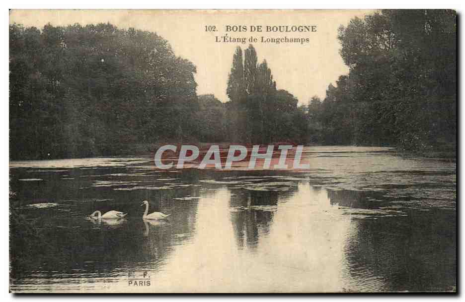 CPA Bois De Boulogne L'Etang de Longchamps Paris