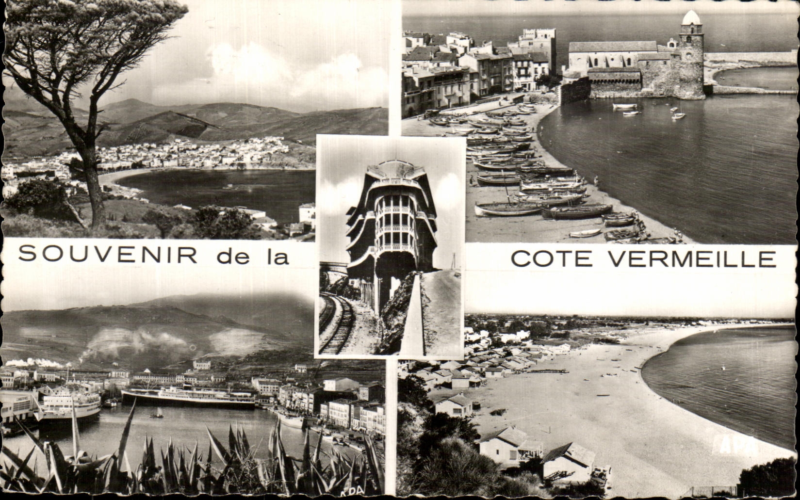 CPA Souvenir de la Cote Vermeille Banyuls sur Mer Collioure Cerbere Port Vendres Argeles