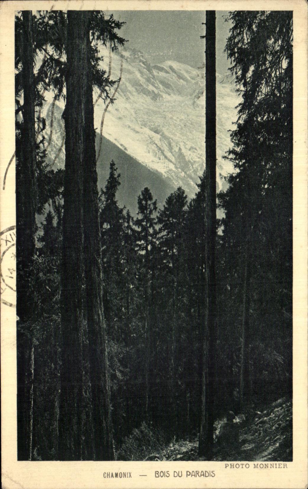 CPA Chamonix Bois Du Paradis