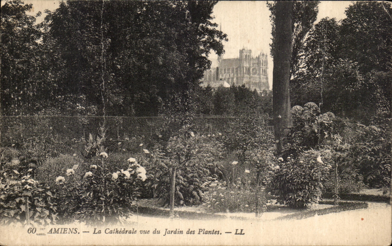 Amiens — La Cathédrale vue du Jardin des Plantes — LL