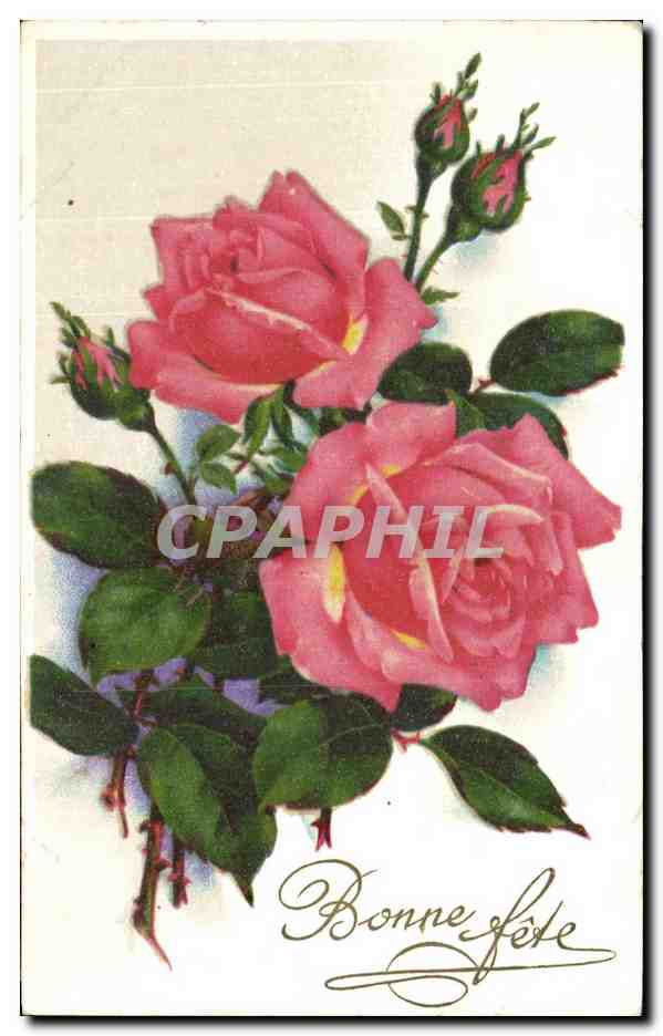 CPA Fantaisie fleurs Roses 