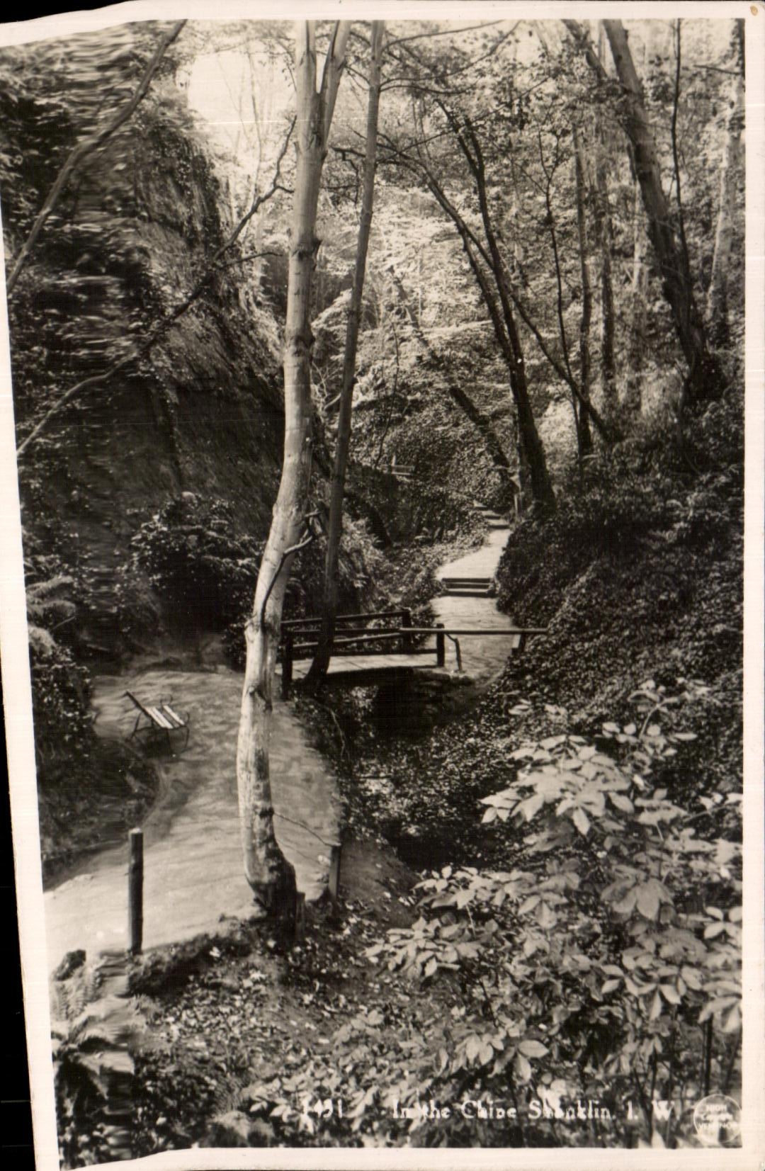 CARTE PHOTO Shanklin Ilse of Wight 