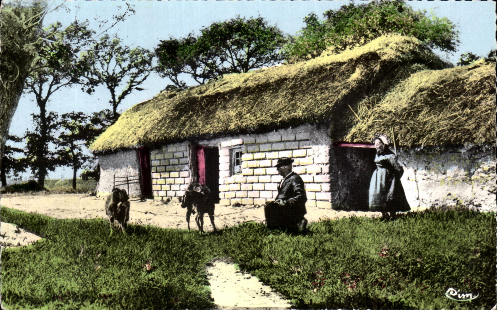 CPA Visions En Vendee Au Pays Maraichin Une Bourine Dans Les Marais Chevres 