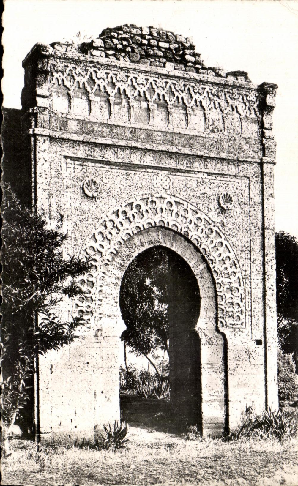 CPA Rabat Vieille Porte De La Mosquee Maroc 