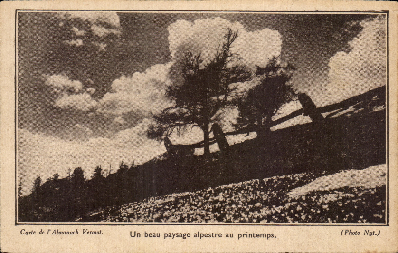 CPA Un beau Paysage alpestre au Printemps