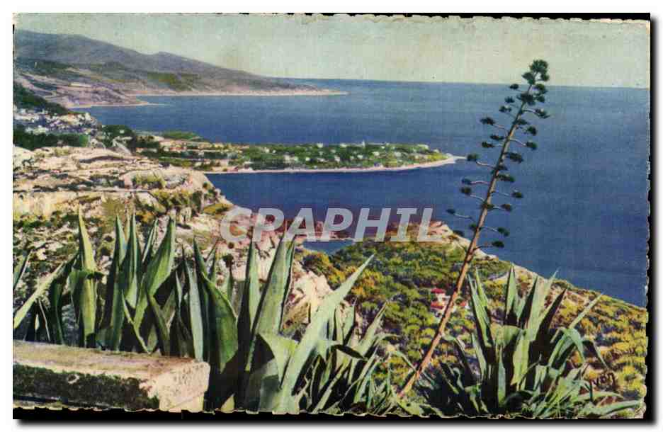 CPA Cote d'Azur Le Cap Martin Vue Prise du Rond point de la 