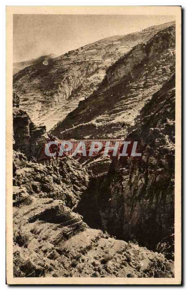 CPA Gorges De Daluis