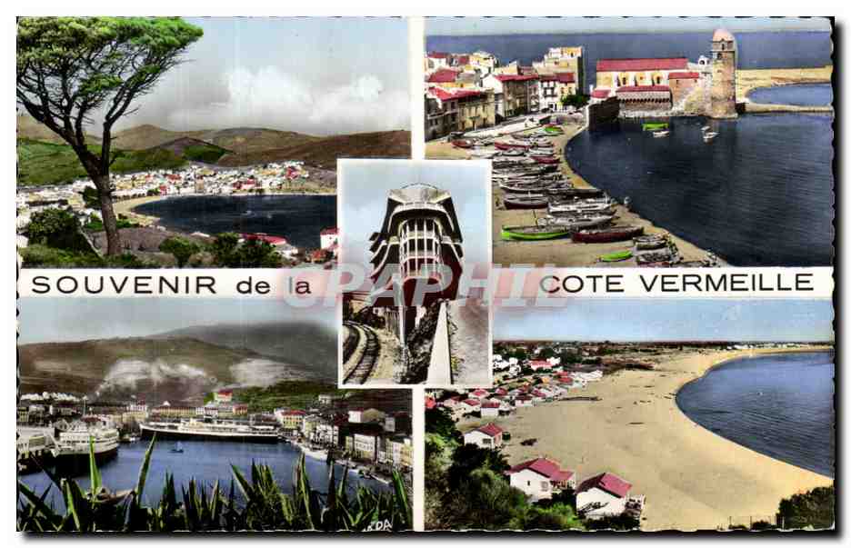 CPSM Souvenir de la Cote Vermeille Banyuls sur Mer Collioure Cerbere Port Vendres Argeles 