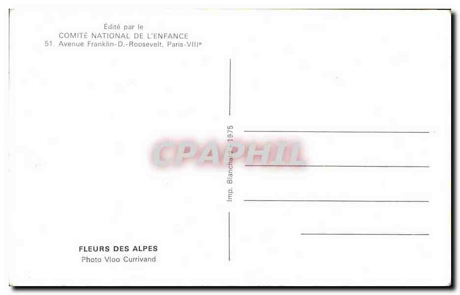 CPM Fleurs Des Alpes Vloo Currivand — Verso