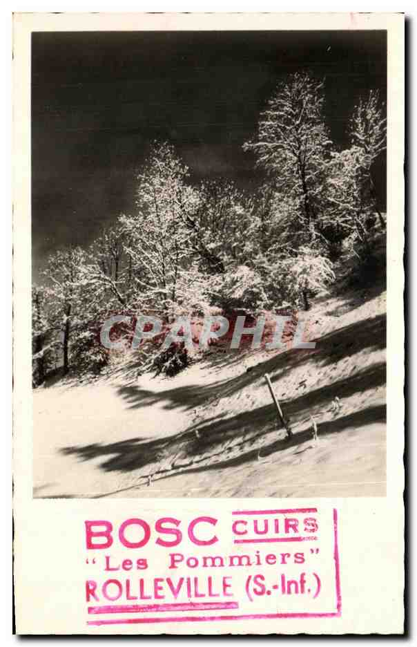 Les Pommiers — Rolleville (S.-Inf.) — BOSC CUIRS