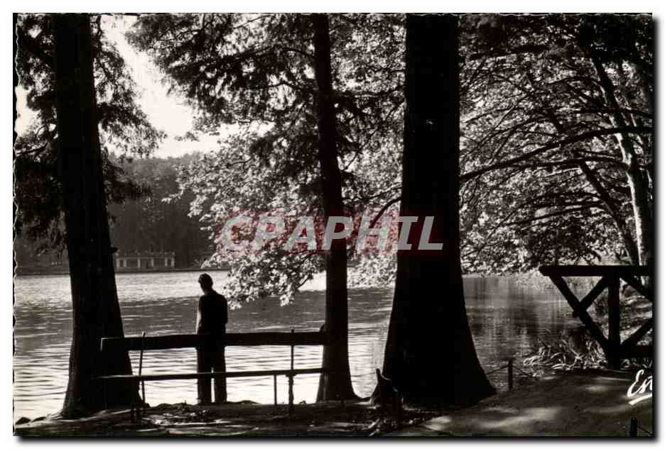 Lac de la Tête d'Or - Bords du lac — Lyon — Éditeur : Photo Véritable, n° 520