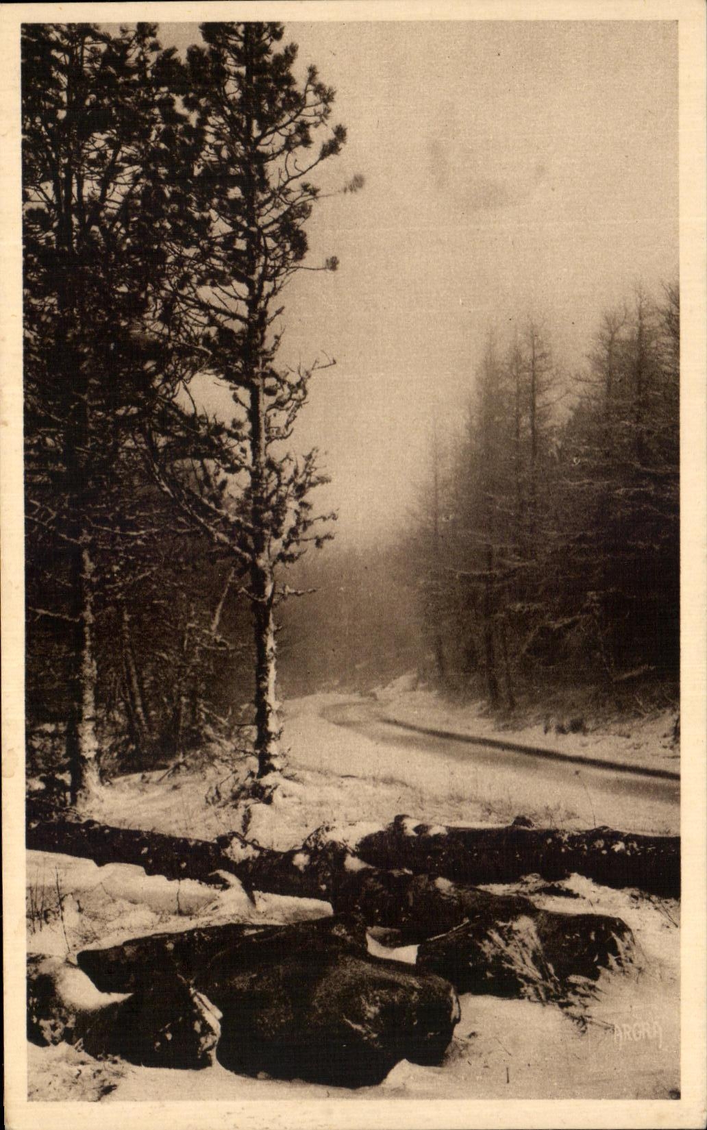 Route de Valleraugue au Mont-Aigoual — Arona — n°602