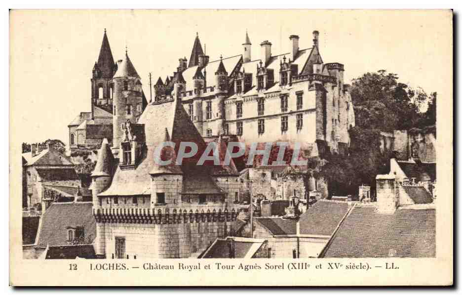 CPA Loches Chateau Royal et Tour Agnes Sorel
