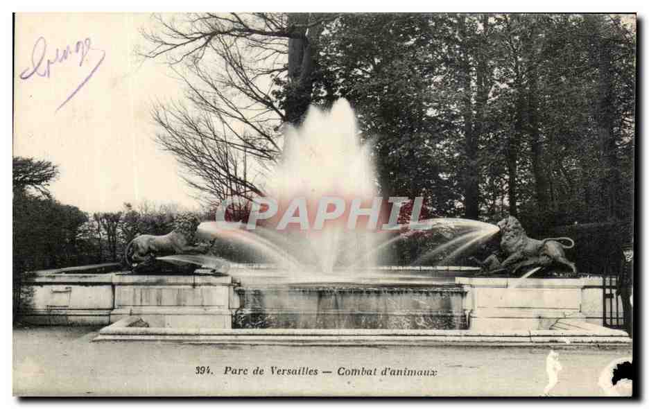 CPA Parc De Versailles Combat D'animaux Lion