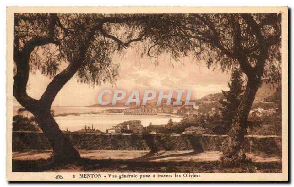 CPA Menton Vue Generale Prise A Travers Les Oilviers