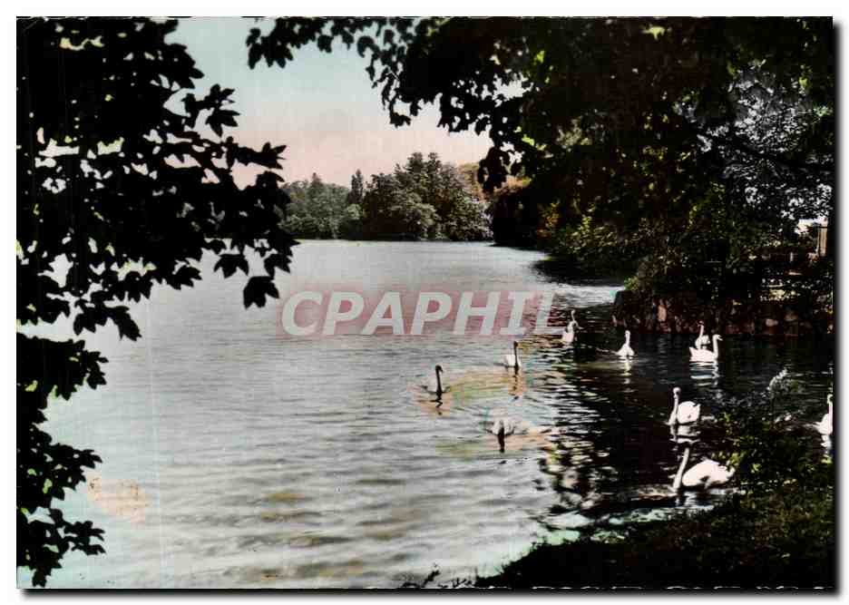 LYON - Parc de la Tête d'Or — Die Schwäne — Réal-Photo, Paris