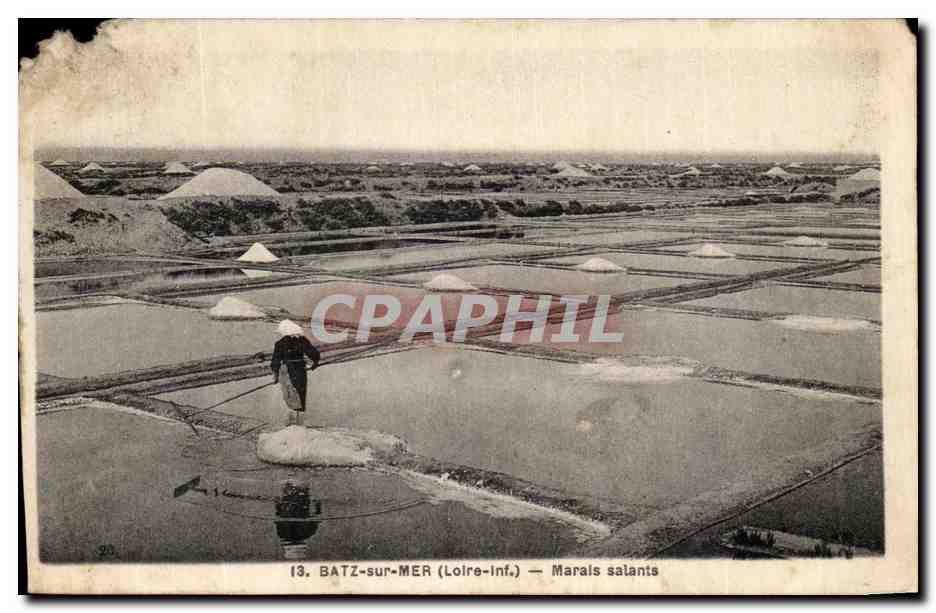 CPA Batz sur Mer Marais Salants