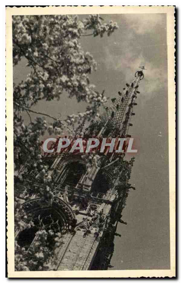 CPA Chartres Cathedrale 1950