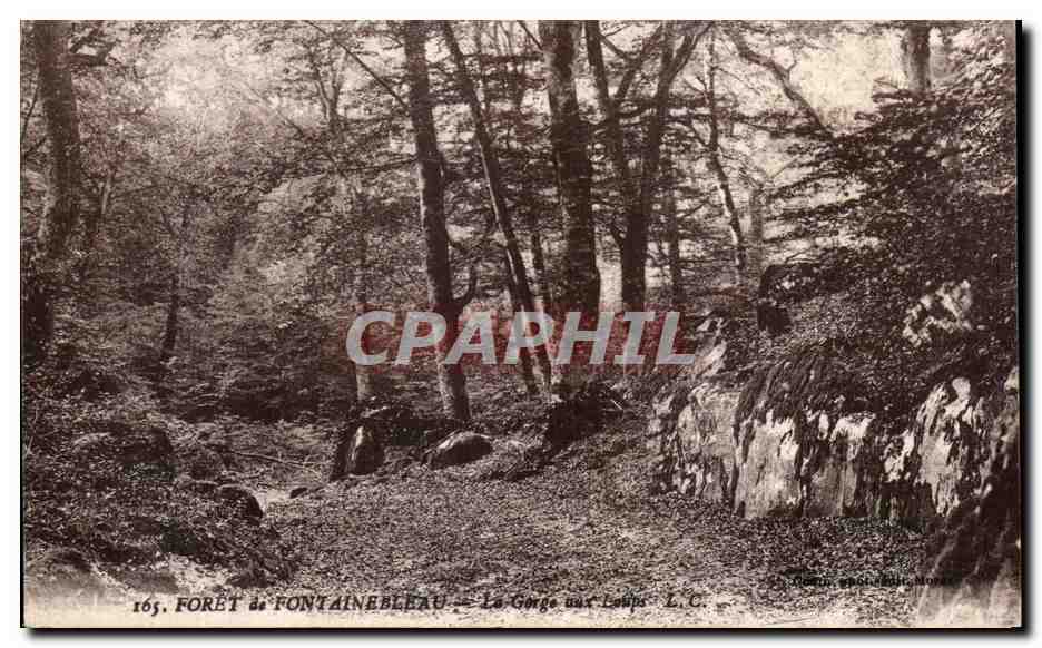 Foresta di Fontainebleau — La Gorge aux Loups — L.C.
